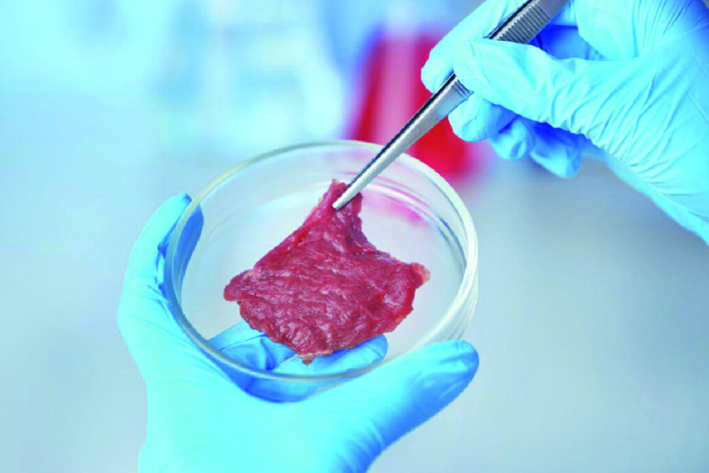 Cibo sintetico, Coldiretti attacca: grande e preoccupante inganno