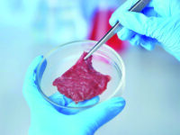 Cibo sintetico, Coldiretti attacca: grande e preoccupante inganno