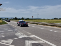 Operazione “Contratto”, nessuno risponde al gip