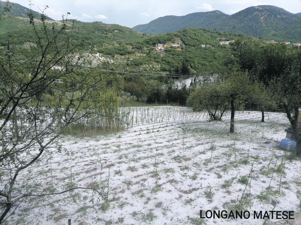 Bomba d’acqua e grandine, Coldiretti: danni ingentissimi