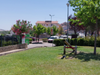 Oggi a Foggia l’autopsia sulla salma del 14enne