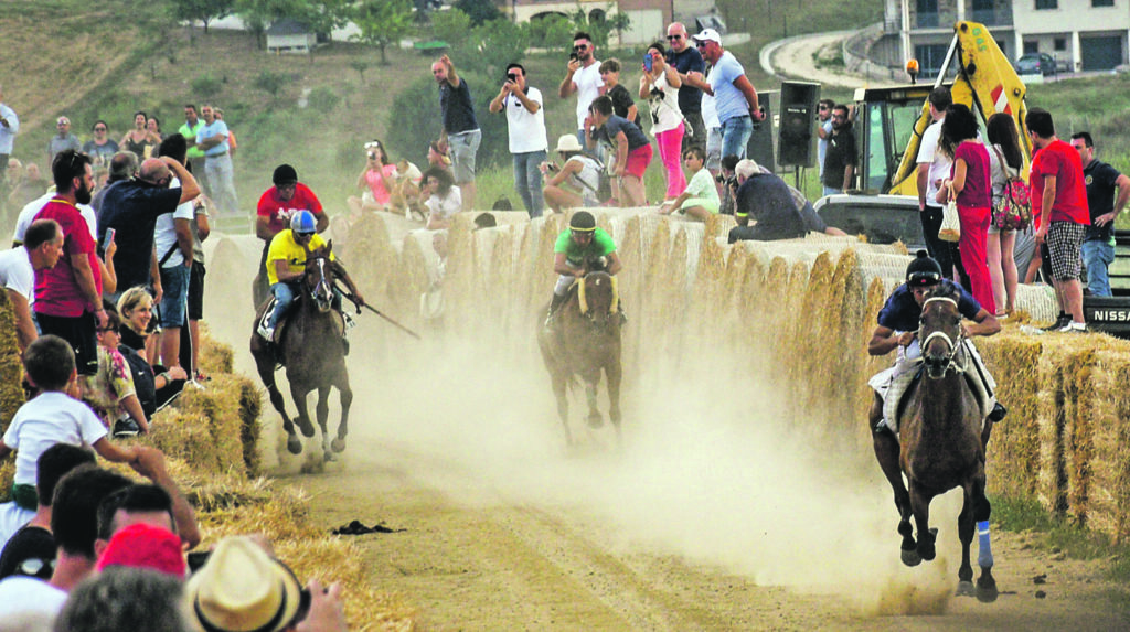 La storica corsa dei cavalli è pronta a ripartire, sale l’attesa a Ripalimosani