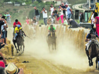 La storica corsa dei cavalli è pronta a ripartire, sale l’attesa a Ripalimosani