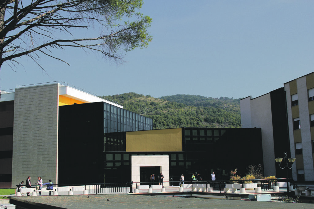 Ricorsi e diffide, poi il contratto: oltre 19 milioni al Neuromed