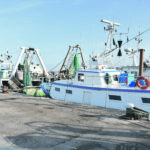 «L’Omc mette a rischio le sovvenzioni per la pesca», altro spauracchio sul comparto ittico