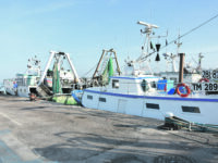 «L’Omc mette a rischio le sovvenzioni per la pesca», altro spauracchio sul comparto ittico