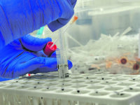 Il bollettino Covid: due decessi, tre ricoveri e un paziente dimesso