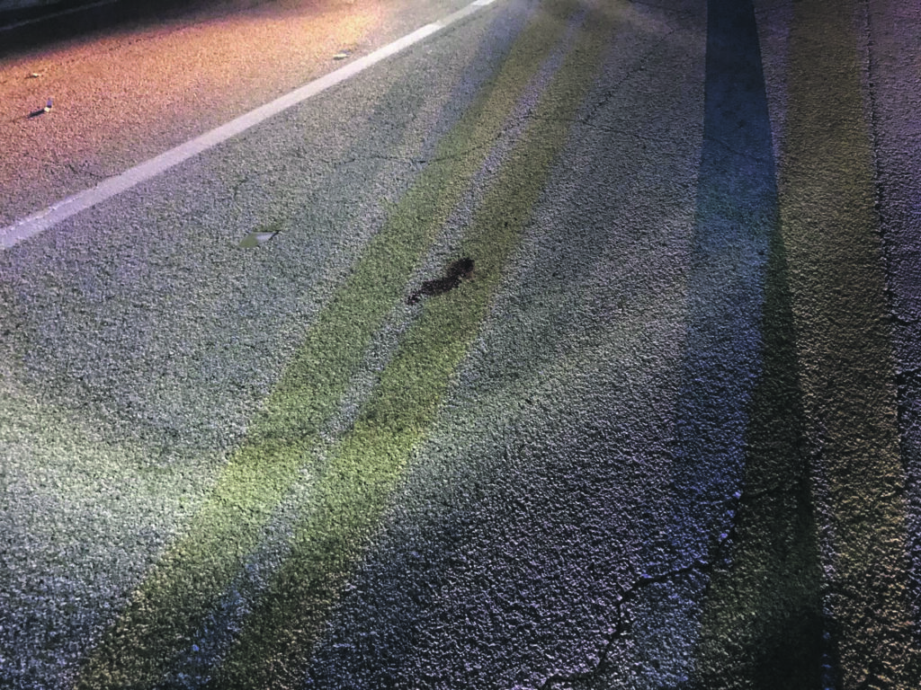 Ururi-Larino. Auto pirata investe un 49enne, è grave