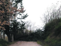 Campobasso. Strade allagate e alberi divelti, ma oggi il maltempo concede una tregua