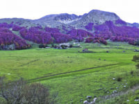 Campitello si prepara. E se manca la neve ci sarà quella artificiale