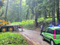 Agnone. L’abete del Papa, arrivano i forestali: l’albero non si taglia