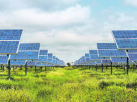 Spunta un nuovo progetto “solare” tra Larino e Montorio