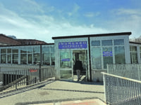 Azzannato da un cinghiale al basso ventre, in prognosi riservata 69enne di Limosano