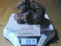 Isernia. Camillo e Artù, la coppia infallibile a caccia di tartufi