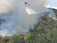 Venafro. Monte Santa Croce divorato dalle fiamme, si sospetta il dolo