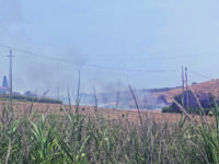 Il fuoco divora centinaia di ettari in basso Molise