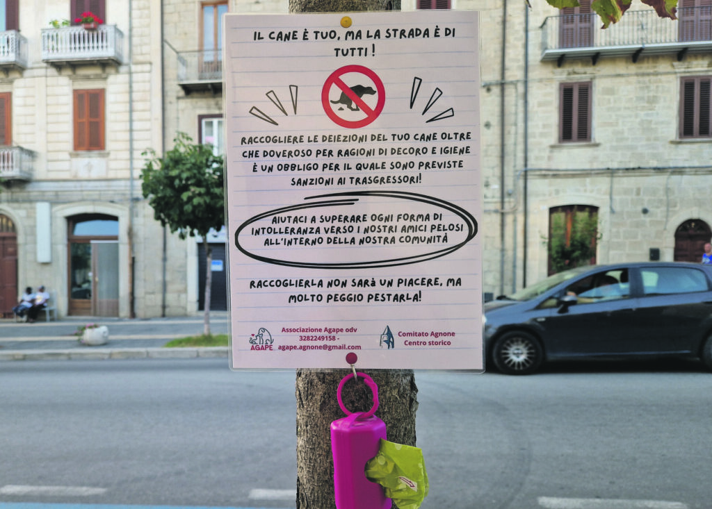 Agnone. Esche avvelenate nel centro storico, ricompensa di 500 euro a chi segnala i responsabili