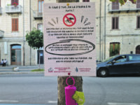 Agnone. Esche avvelenate nel centro storico, ricompensa di 500 euro a chi segnala i responsabili