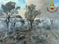 Incendio a Venafro, è caccia ai piromani. Ricci: pronti a costituirci parte civile
