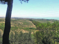 Biometano, altro punto a favore del Comune. Ma non è ancora finita