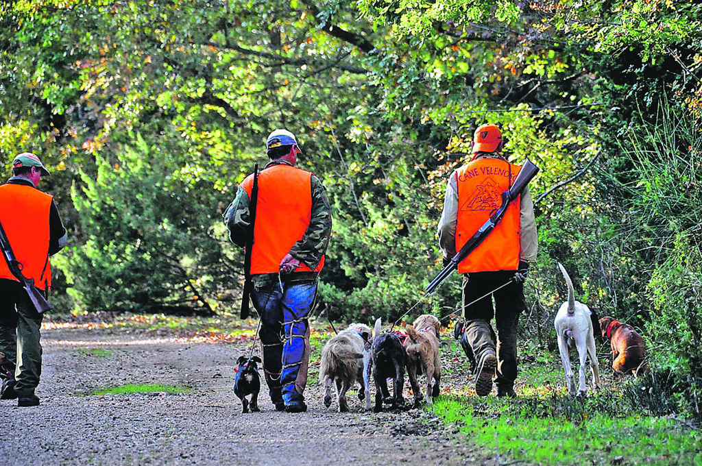 Via libera definitivo al calendario venatorio, Roberti: proseguiamo sulla strada del dialogo