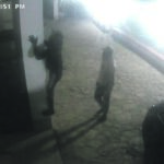 Allarme furti a Campobasso, in rete i video dei ladri ‘funamboli’