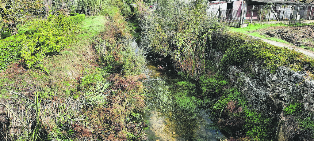 La paura fa 90: al via i lavori per ripulire l’alveo del Rava