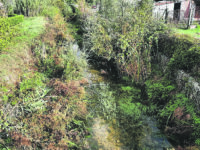 La paura fa 90: al via i lavori per ripulire l’alveo del Rava