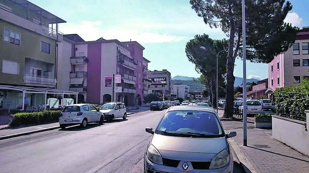 Isernia. Via Veneziale, alberi da rimuovere: l’origine del dissenso contro il 5s