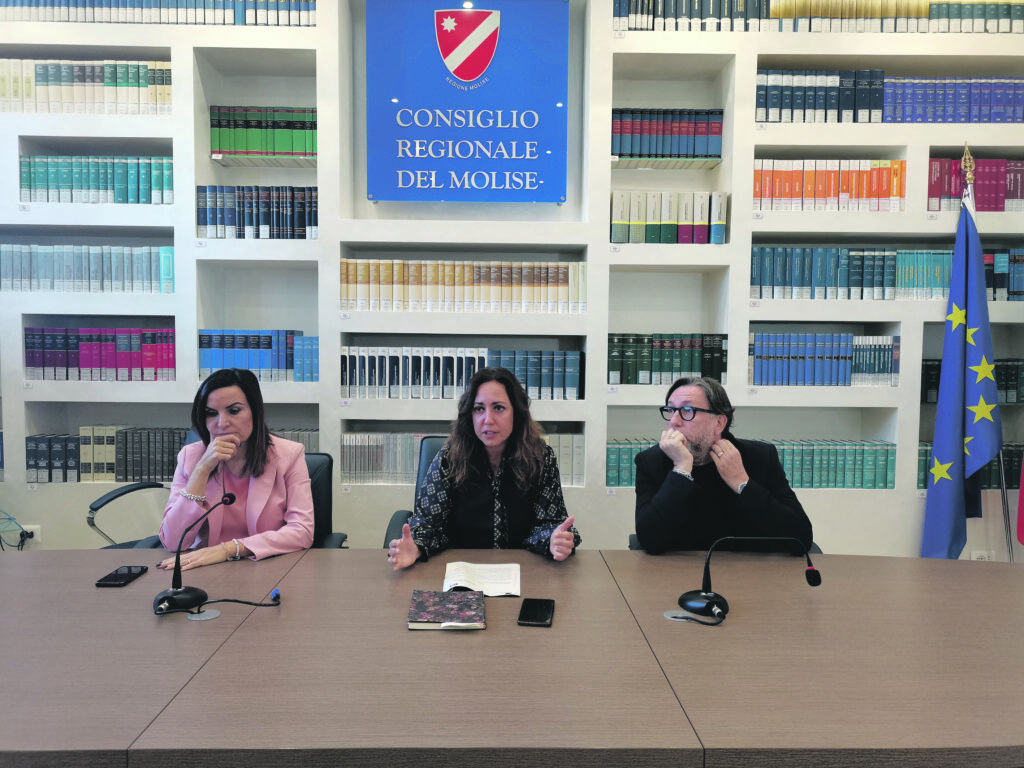 Spazio alle politiche di genere e anti violenza nella sessione di bilancio, la proposta del Pd