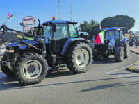 Termoli. Con l’agricoltura si gioca pure il futuro del territorio