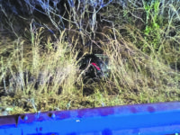 Accusa un malore ed esce fuori strada, muore Bertino Chiavaro