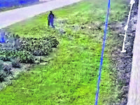 Evase dai domiciliari al Lido, latitante arrestato in Spagna