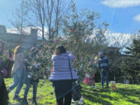 “Grazie per avermi amata”, a Campobasso un ulivo in ricordo di Marianna