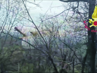 Brucia il “sottobosco” tra Castelmauro e Acquaviva