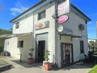 Toro. Rubano un’auto e fanno razzia di gratta&vinci, tabacchi e macchinetta cambiamonete