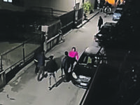 Venafro. Lancio di sassi e bastoni fuori dal bar, i Carabinieri denunciano 16 persone