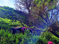 San Martino in Pensilis. Finisce con la Panda nel burrone, 80enne trovato morto all’alba