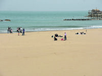 Il Garbino allontana i turisti dalle spiagge, ma la gita fuori porta fa il pienone