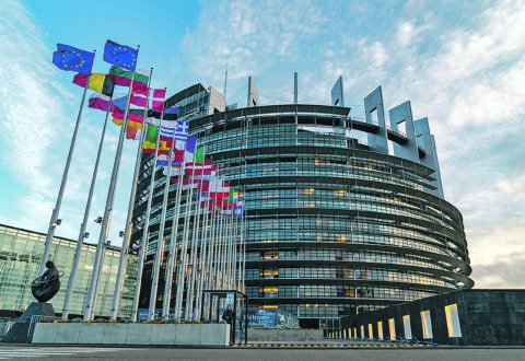 Dieci molisani in lizza per uno scranno al Parlamento europeo