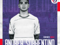 Campobasso, quinto annuncio: c’è Sorrentino