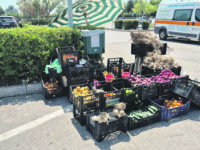 Fruttivendolo aggredito davanti al San Timoteo