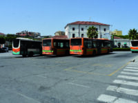 Termoli. Mezzi vetusti e malore all’autista, il Comune ha diffidato la Gtm