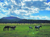 Niente ‘Corsalonga’ a Staffoli, se ne riparla l’anno prossimo