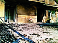 Minacce e gerarchia della Gomorra bassomolisana: ‘questi sono mafiosi’