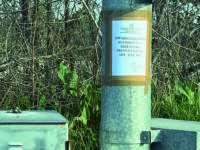 Autovelox “illegali”, scatta il sequestro sulla statale 87