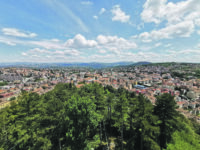 Occupazione sotto la media. Ma il Molise viaggia veloce