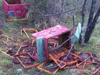 Civitanova: apiario devastato, si teme l’incursione di un orso