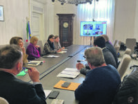 Emergenza cinghiali a Campobasso, in arrivo personale specializzato