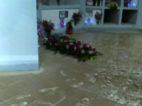 Cimitero di Campobasso di nuovo allagato, Annuario esige azioni tempestive